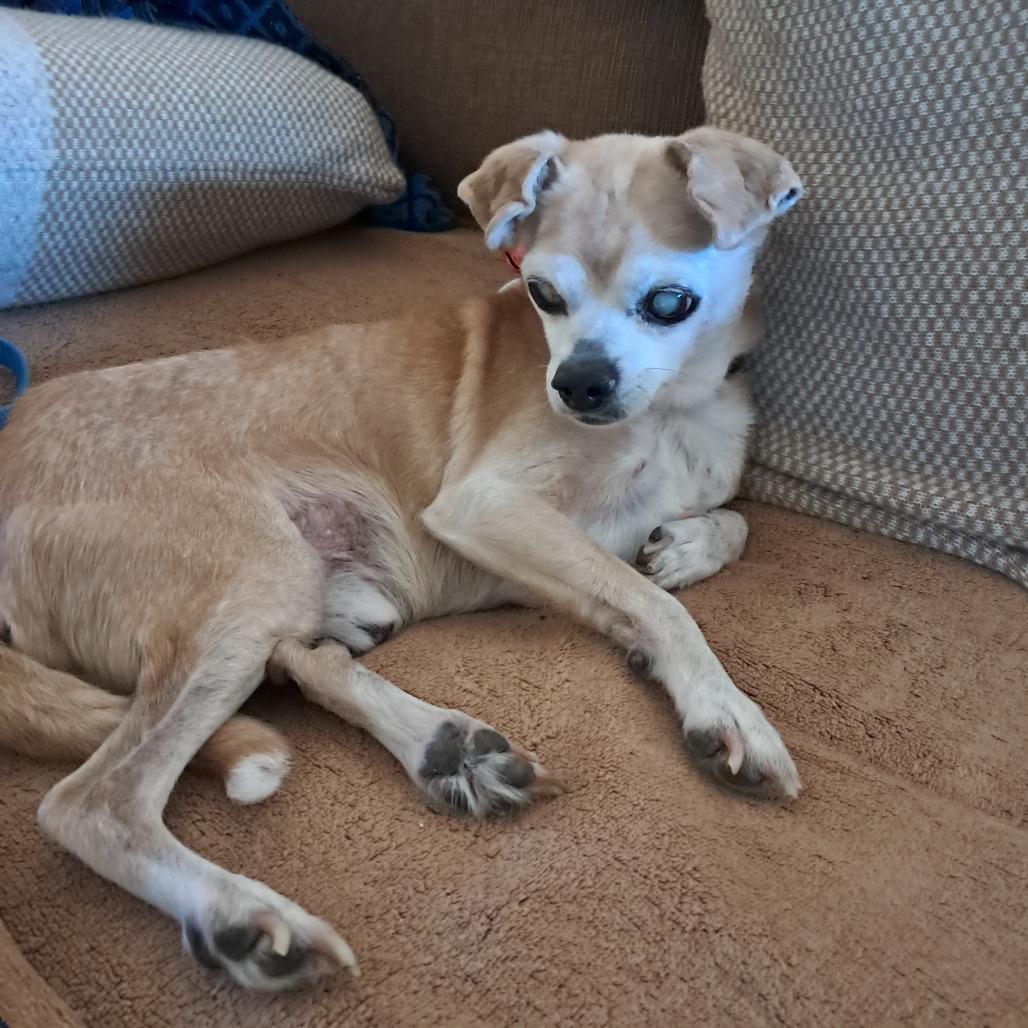 Fish — thumbnail 2