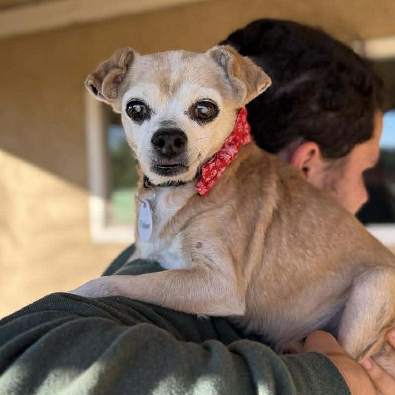 Fish — thumbnail 3