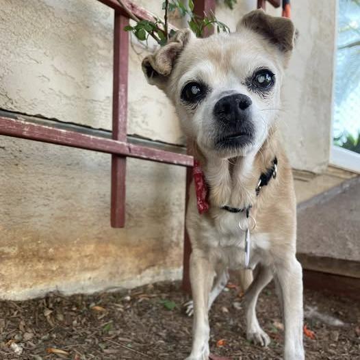 Fish — thumbnail 4