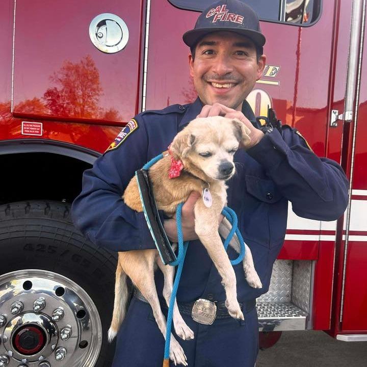 Fish — thumbnail 6