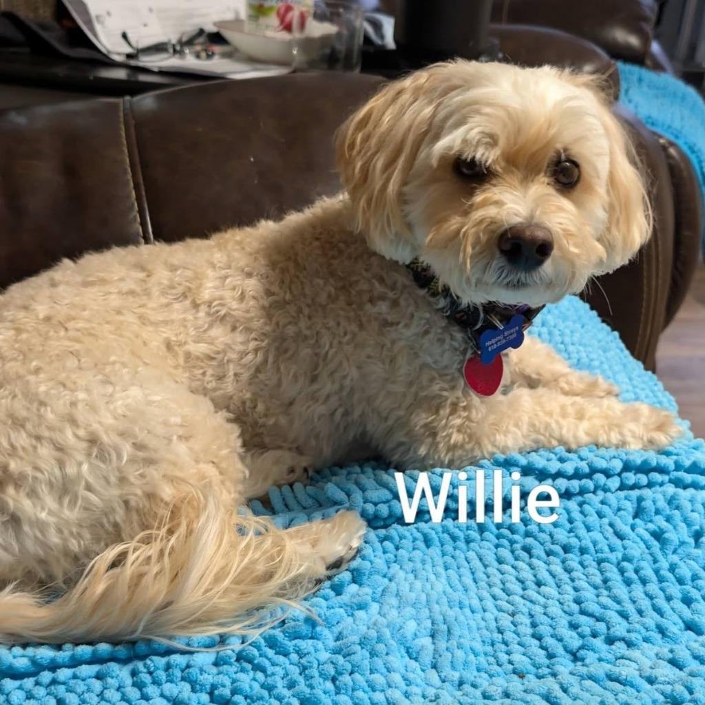 Willie Bob photo