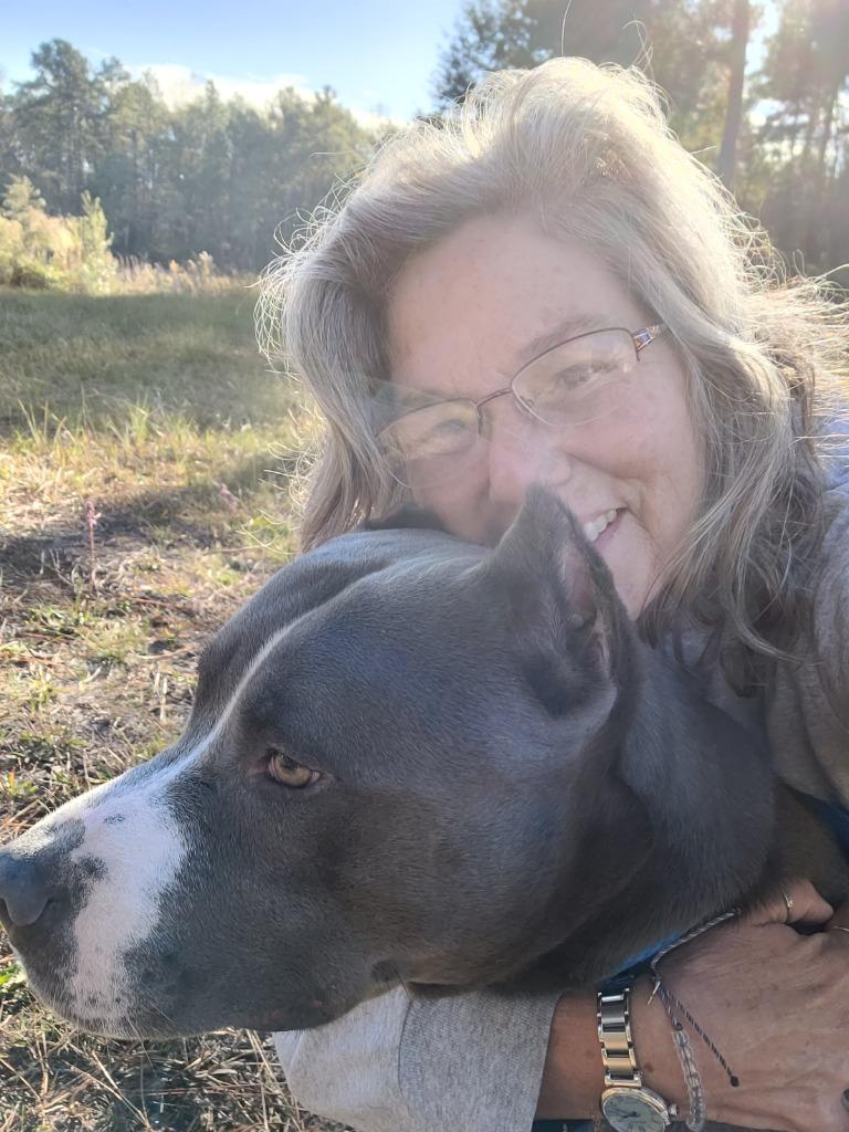 Enlarge Artemis, a Adoptable Pit Bull Terrier in Waynesville, GA image 4/6