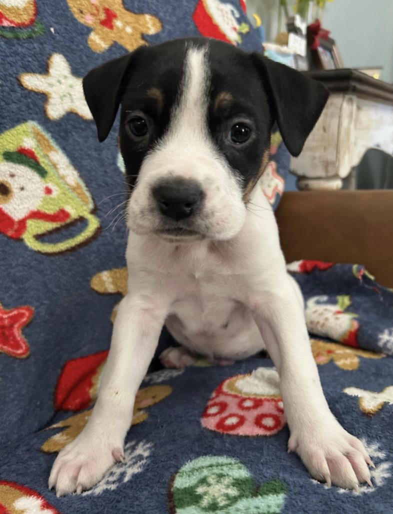 Friday Happydays thumbnail 2