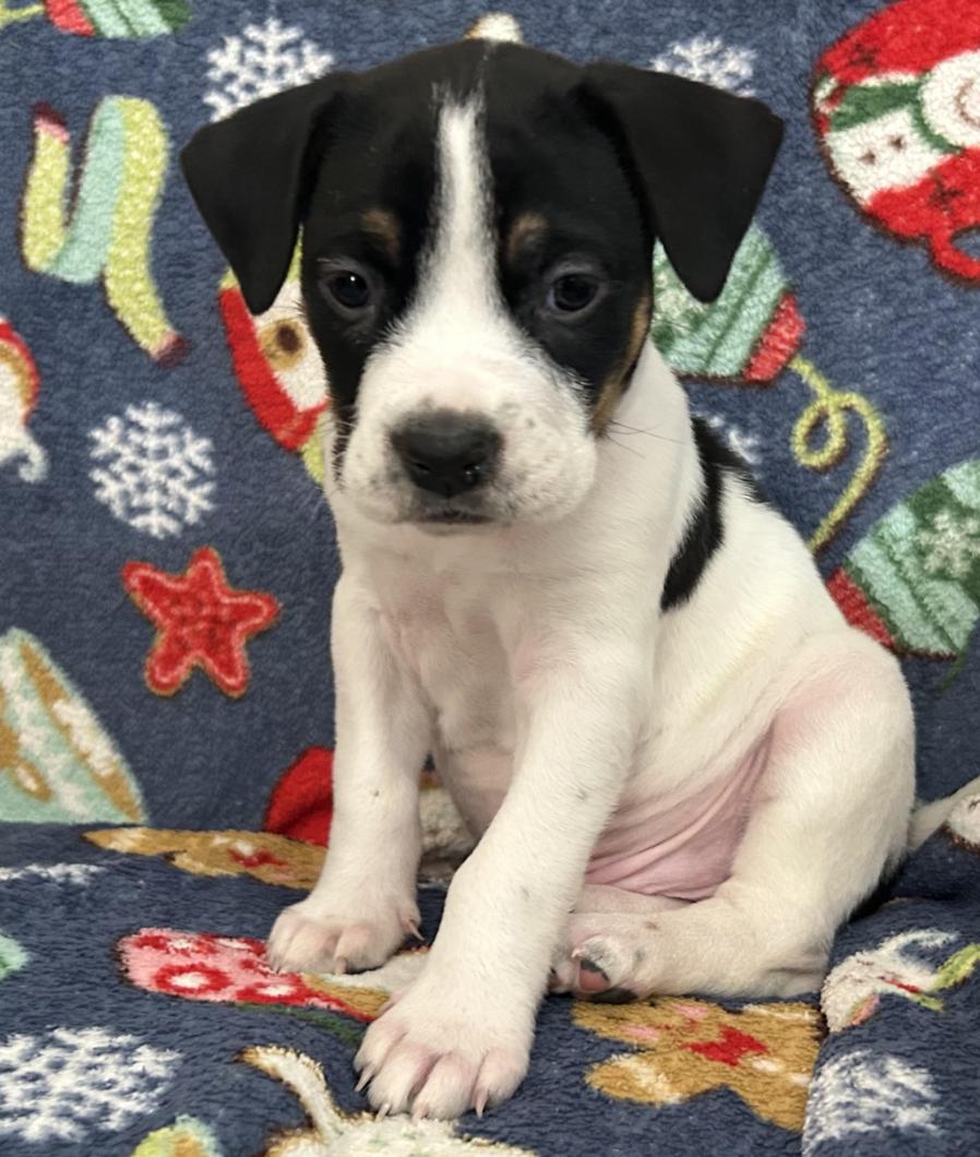 Friday Happydays thumbnail 3