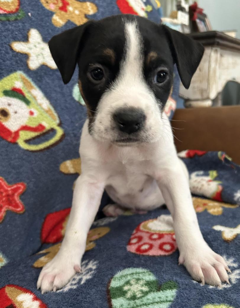 Friday Happydays thumbnail 4