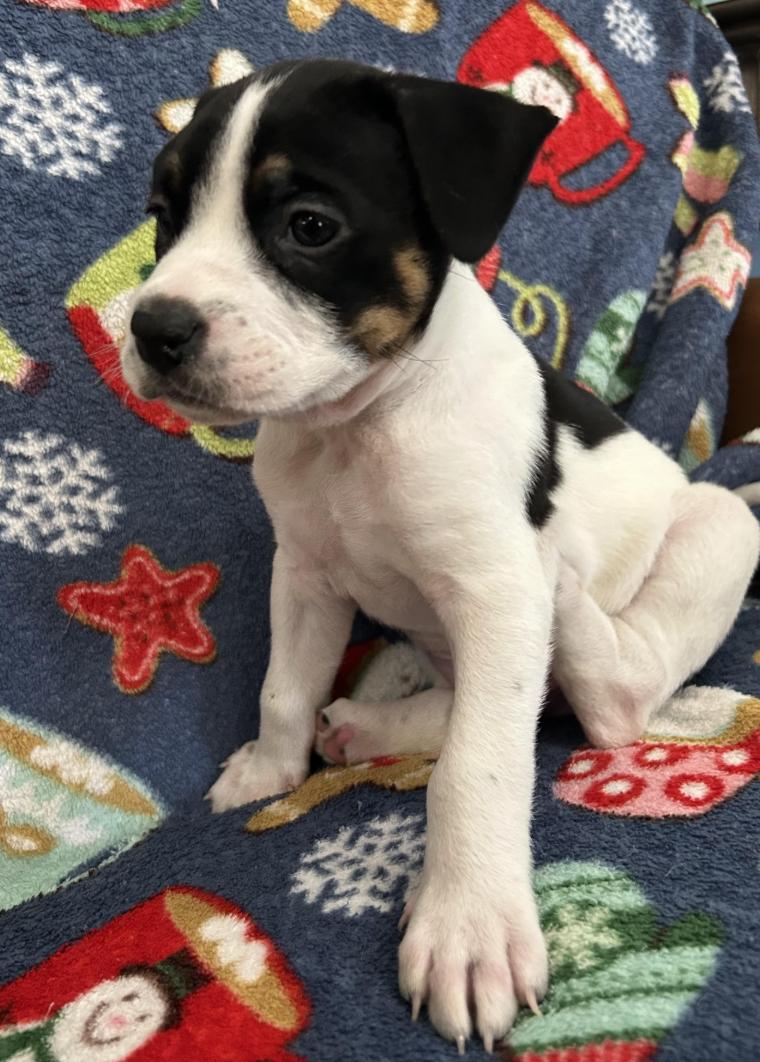 Friday Happydays thumbnail 5