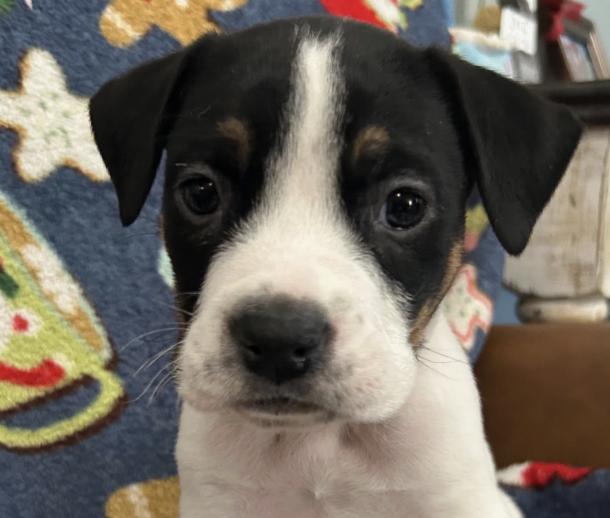 Friday Happydays thumbnail 6