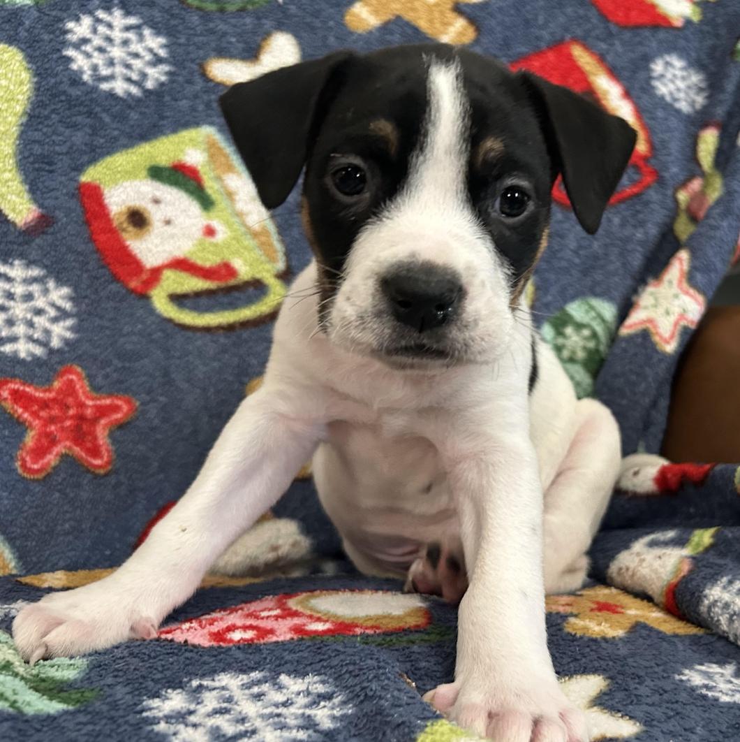 Friday Happydays thumbnail 7