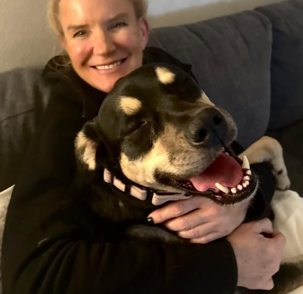 Enlarge Cleo, a Adoptable mixed breed in Richardson, TX image 5/6