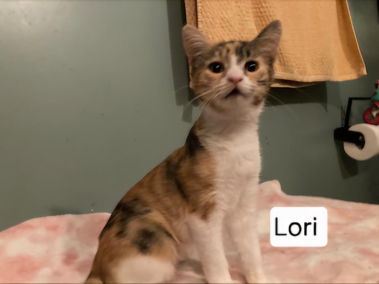 Lori