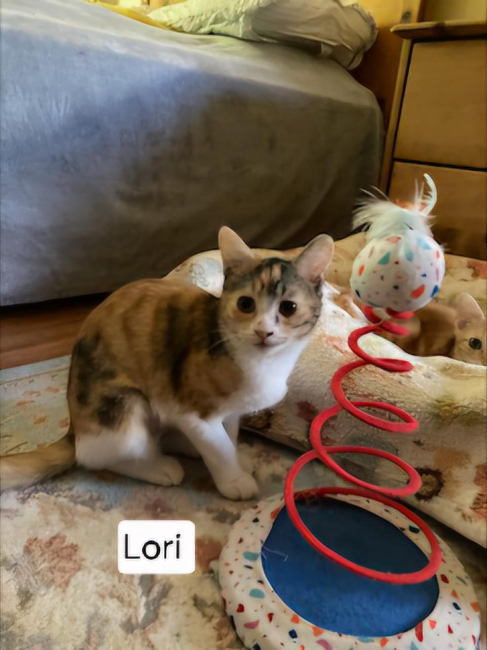 Lori