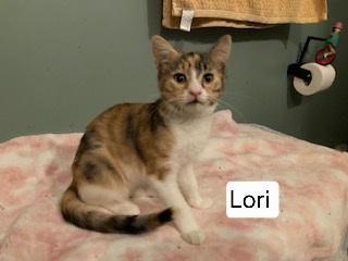 Lori