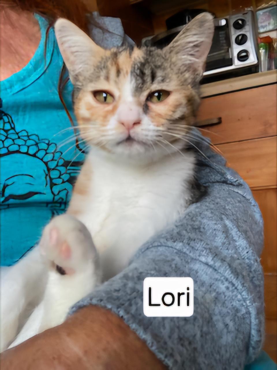 Lori