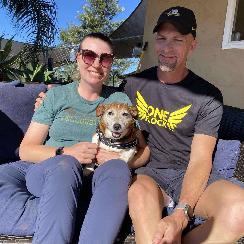 Mr. Littles, a Adoptable Jack Russell Terrier in Ramona, CA image 4/6