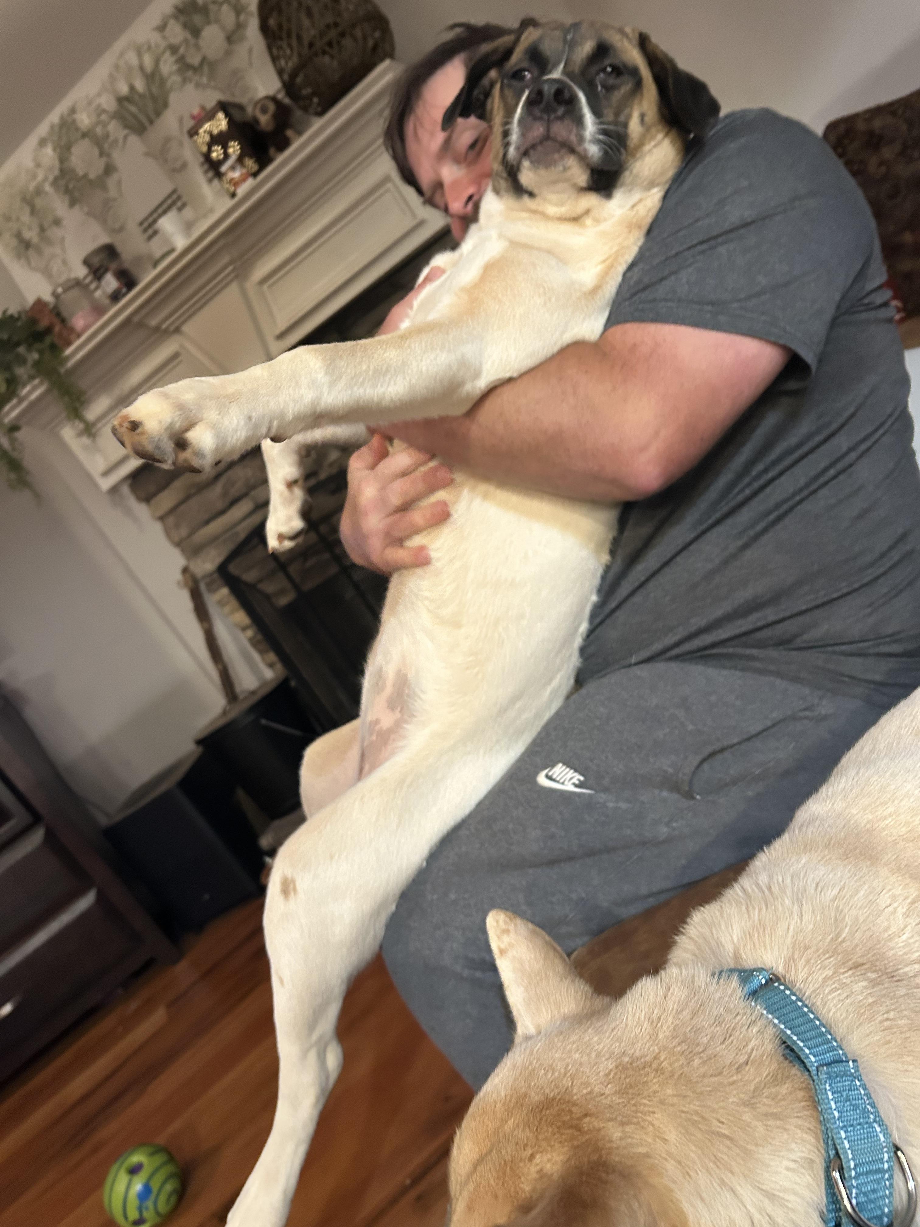 Enlarge Lemon Loaf, a Adoptable mixed breed in Winder, GA image 5/5