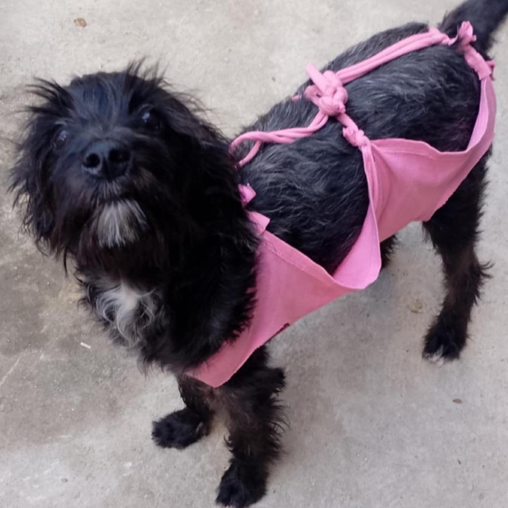 Victoria thumbnail 3