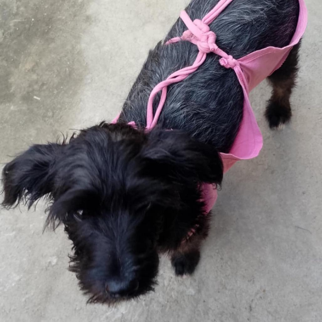 Victoria thumbnail 4