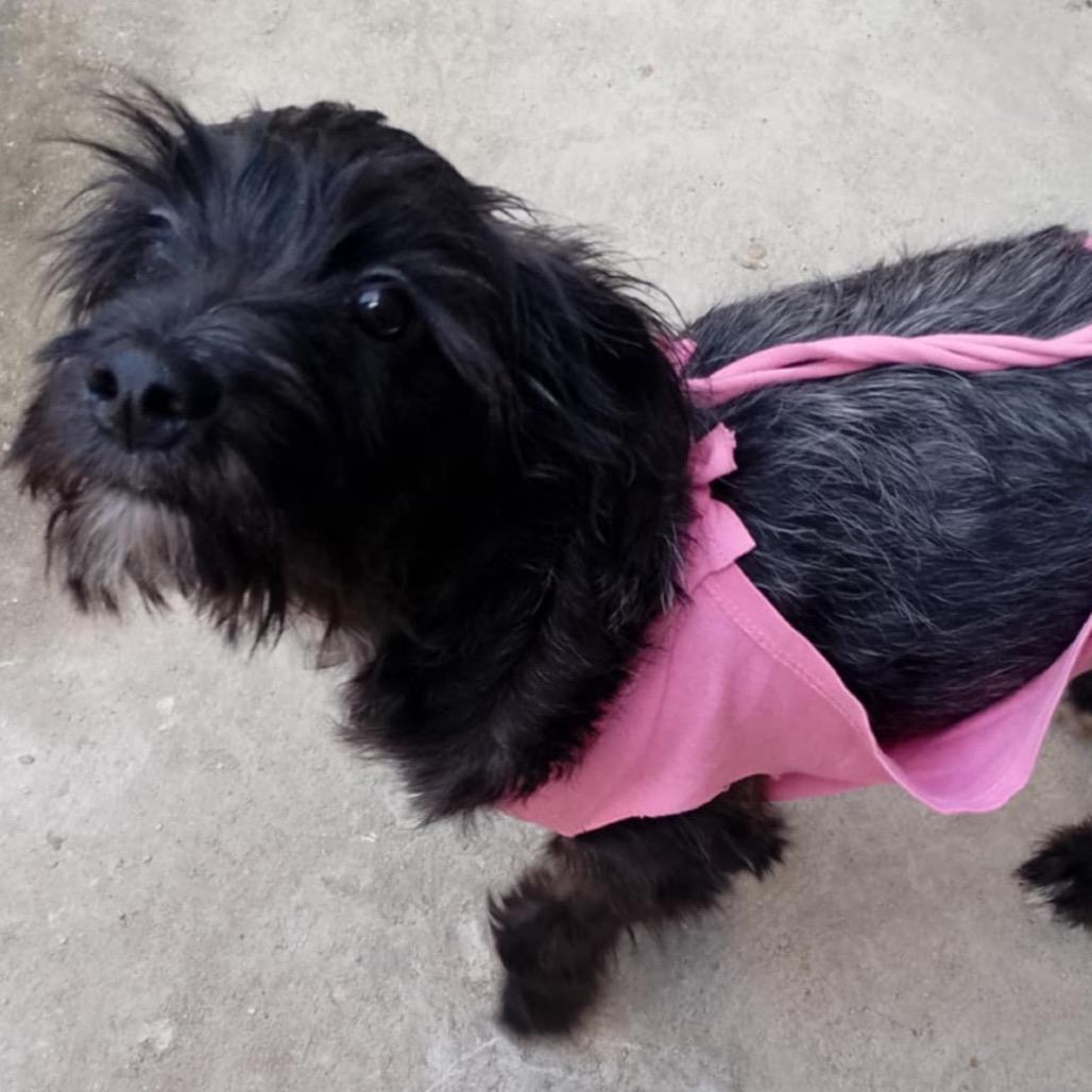 Victoria thumbnail 5