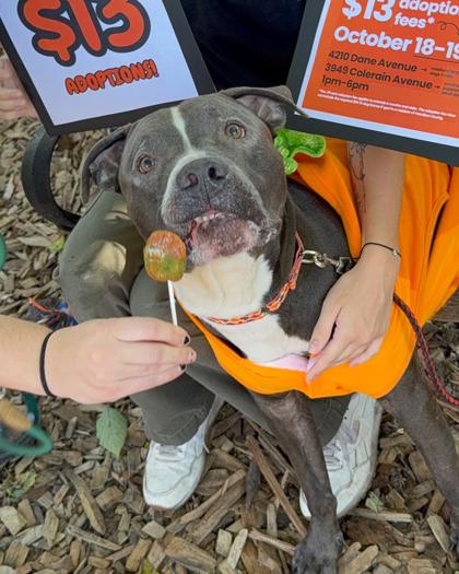 Buzz Lightyear thumbnail 3