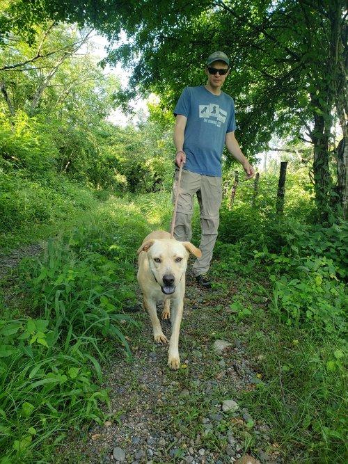 Enlarge Willy, a Adoptable mixed breed in Sacramento, CA image 5/6