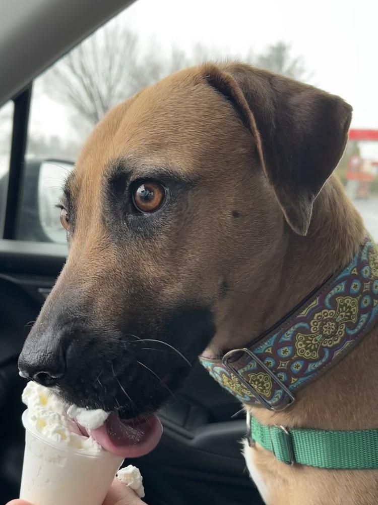 Brynn — thumbnail 2