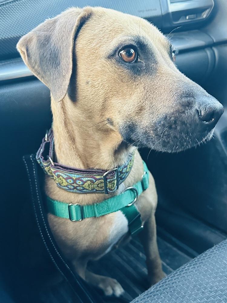 Brynn — thumbnail 3