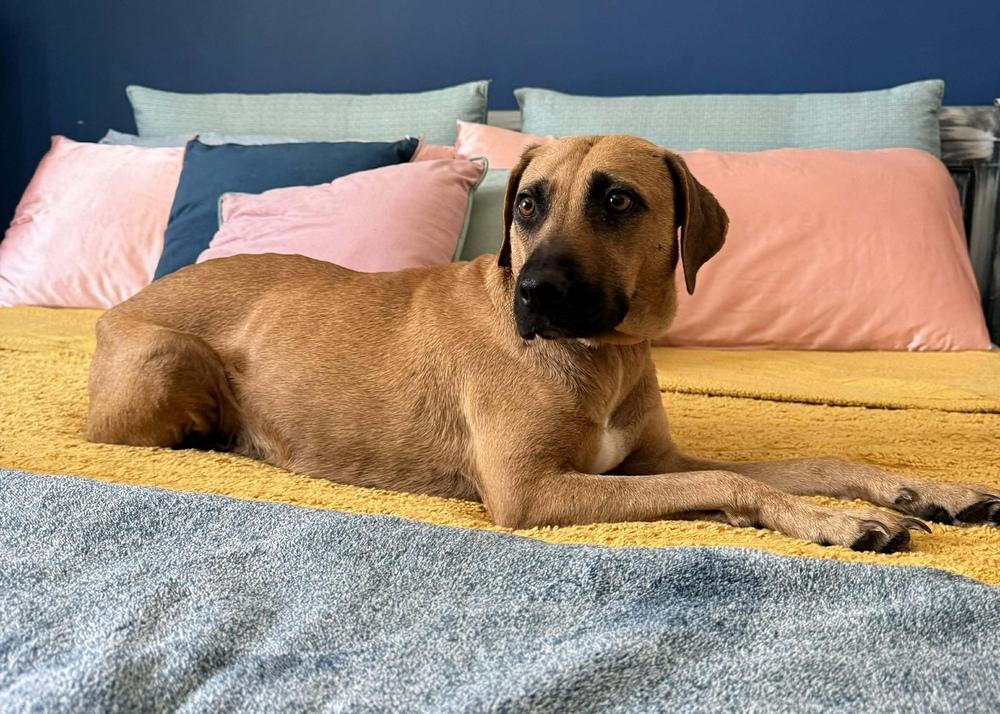 Brynn — thumbnail 4