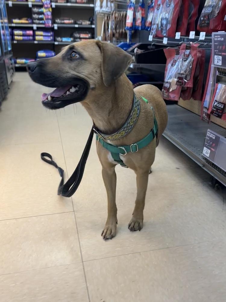 Brynn — thumbnail 5