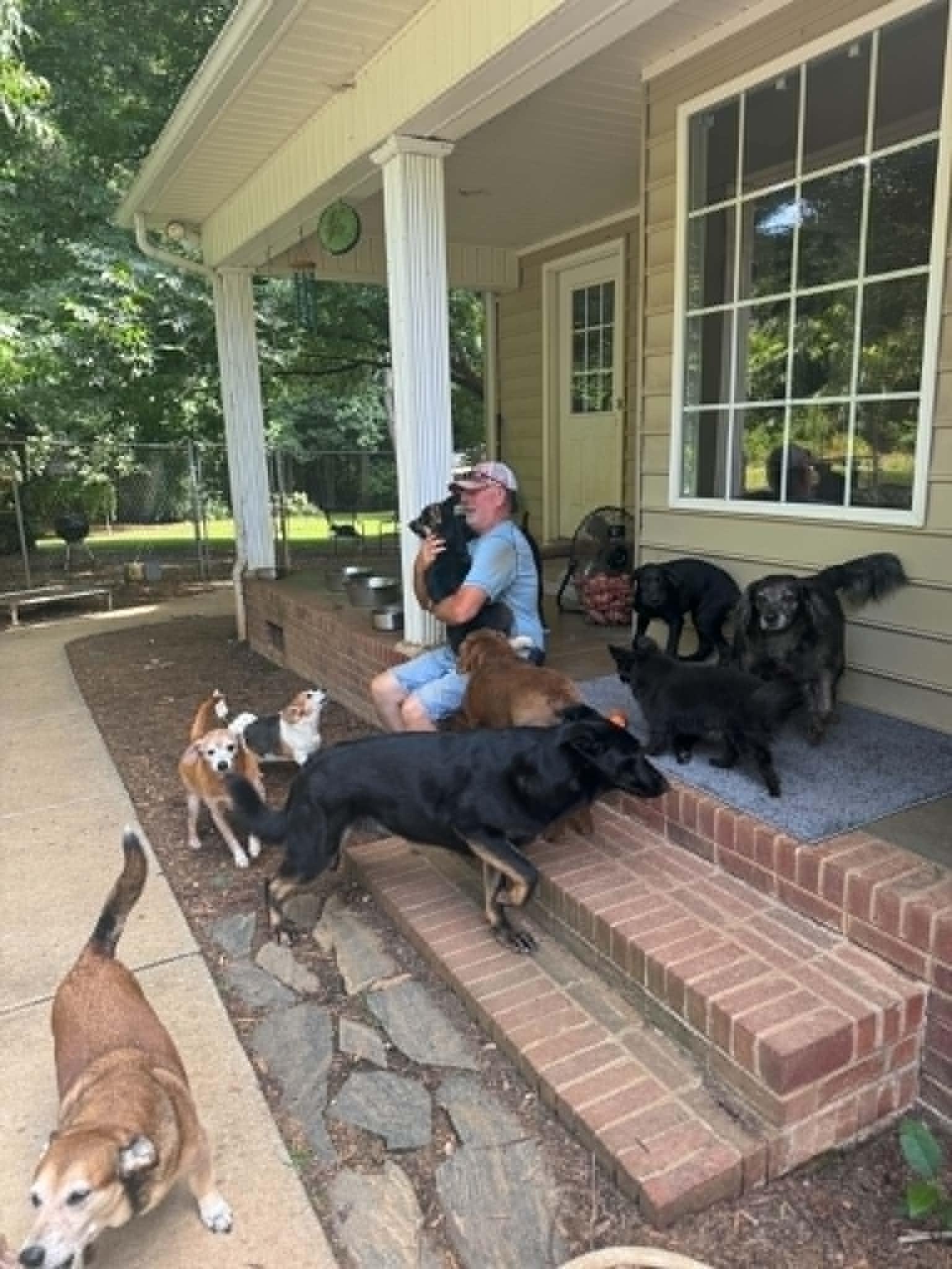 Luna, an adopted mixed breed in Lancaster, SC image 6/6