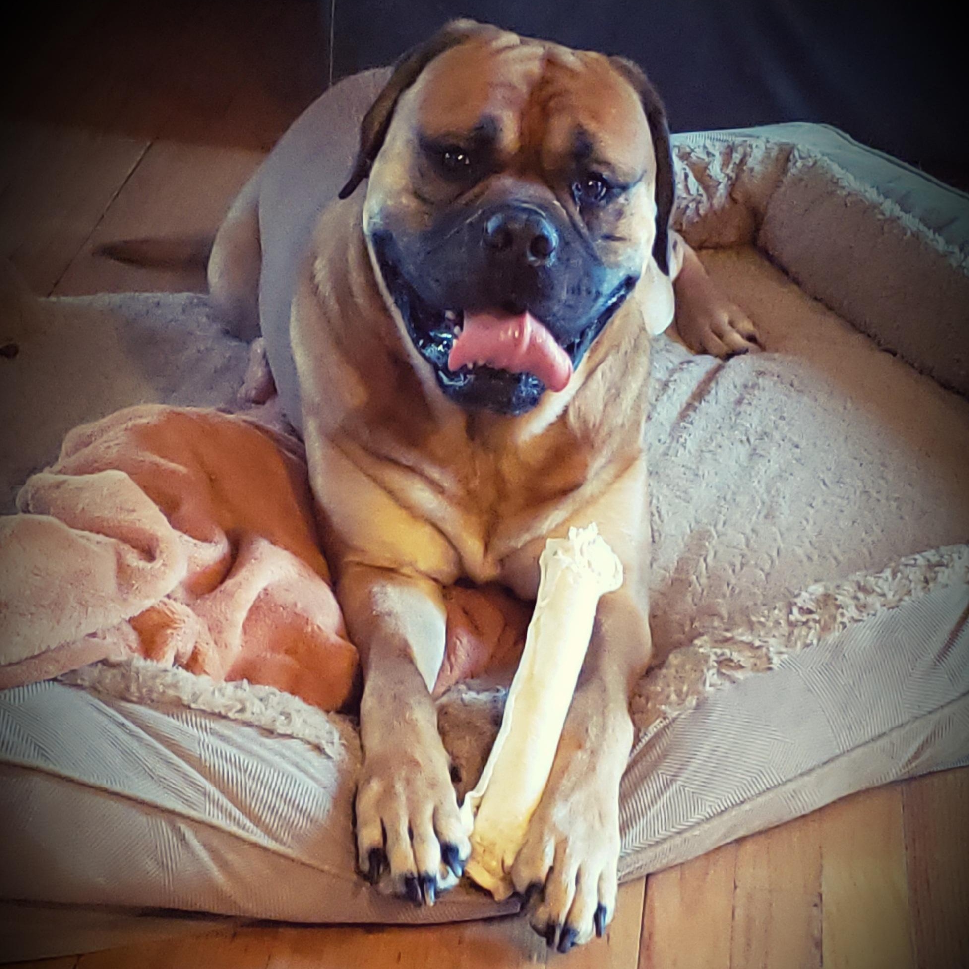 Pablo photo 1