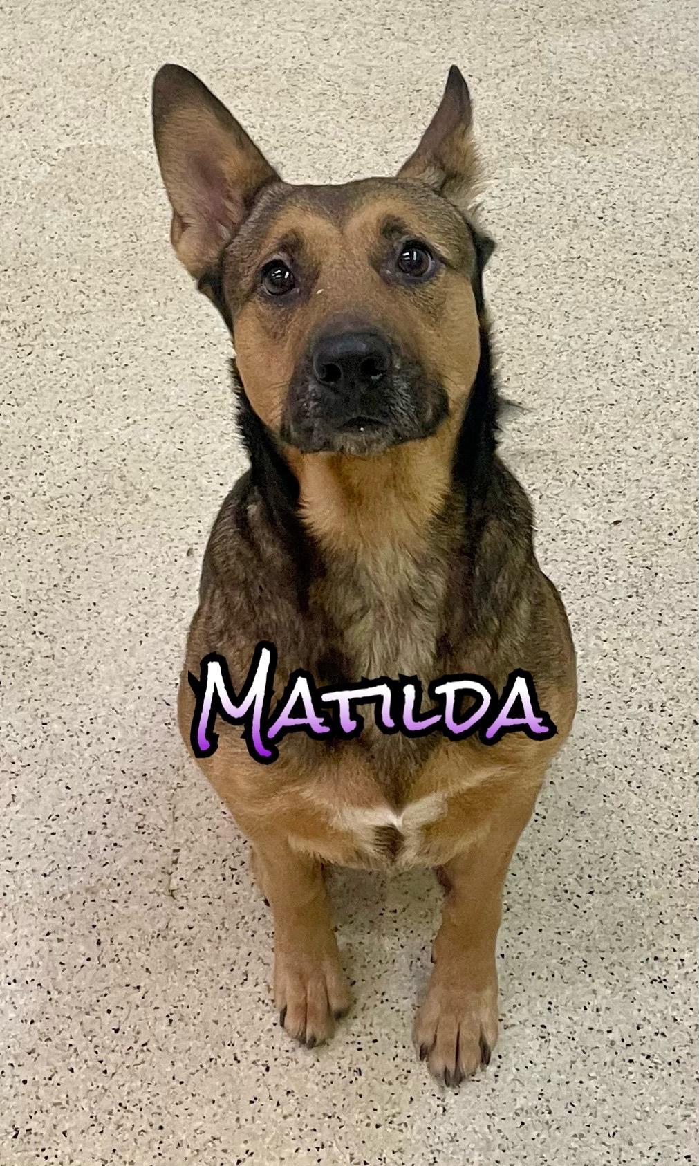 Matilda