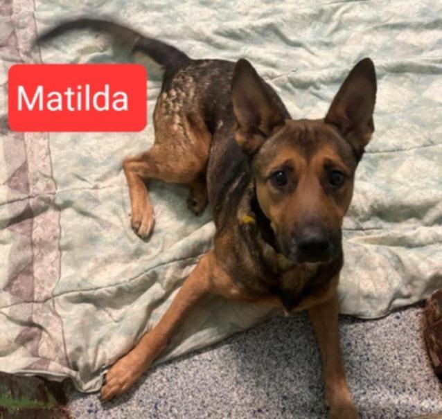 Matilda