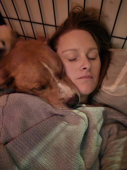 Duke, a Adoptable mixed breed in Sweetwater, TN image 2/6