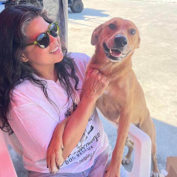 Enlarge DELILAH, a Adoptable mixed breed in Indiantown, FL image 5/6