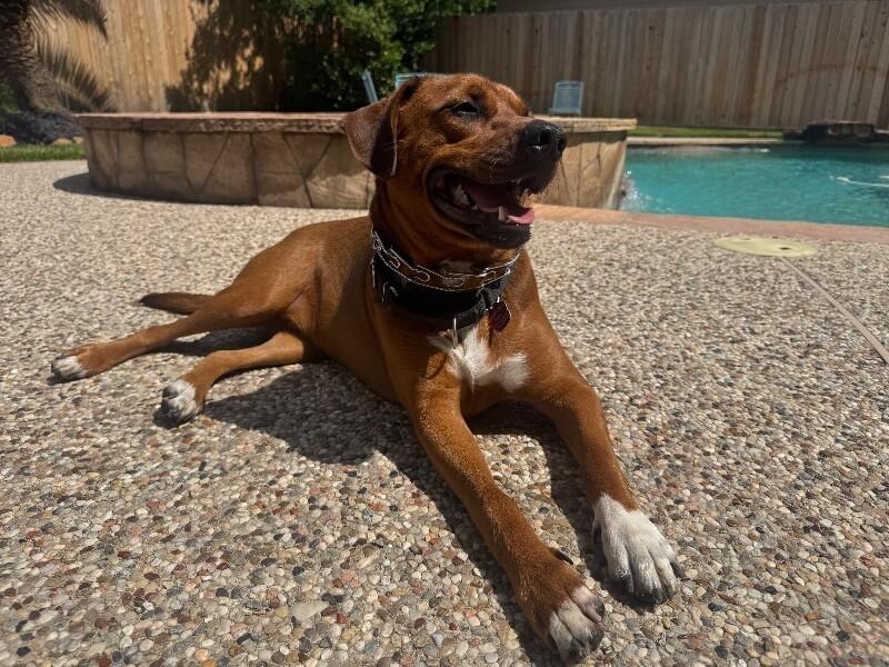 Charlie Brown Belly Rub