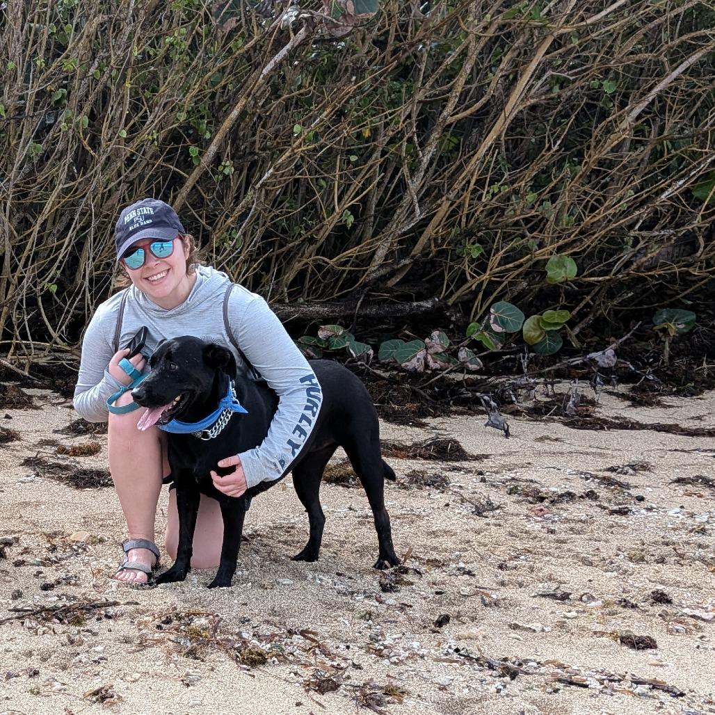 Enlarge Ganja, a Adoptable Black Labrador Retriever in Vieques, PR image 4/6