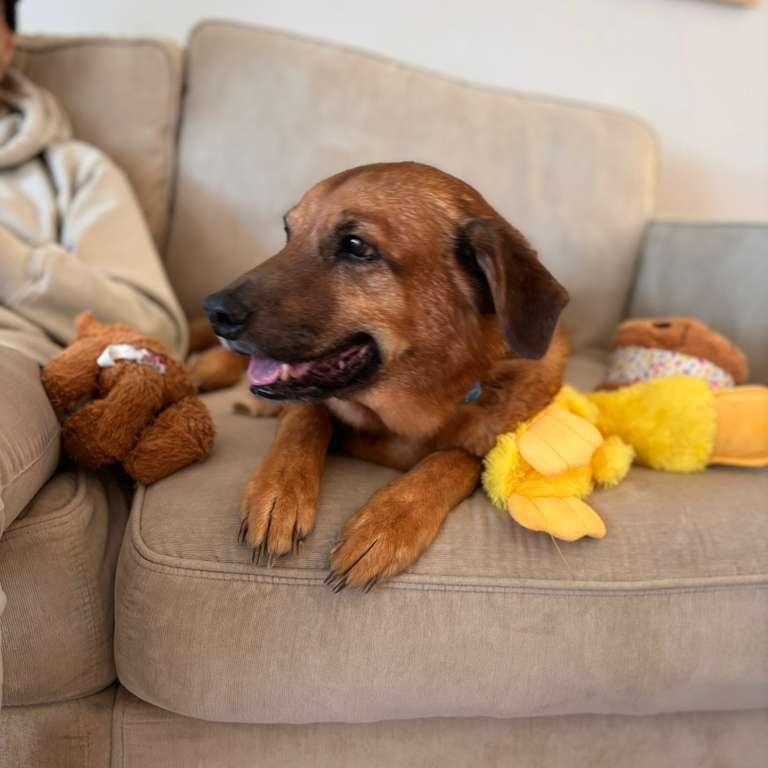 Conway — thumbnail 4