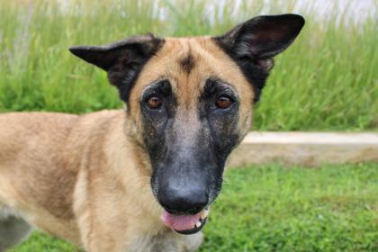 Xena