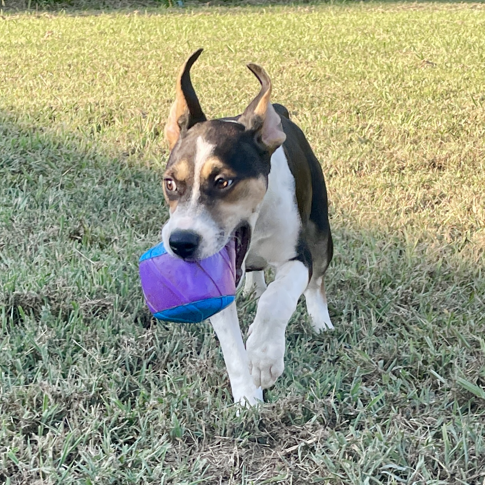 Blizzard thumbnail 2