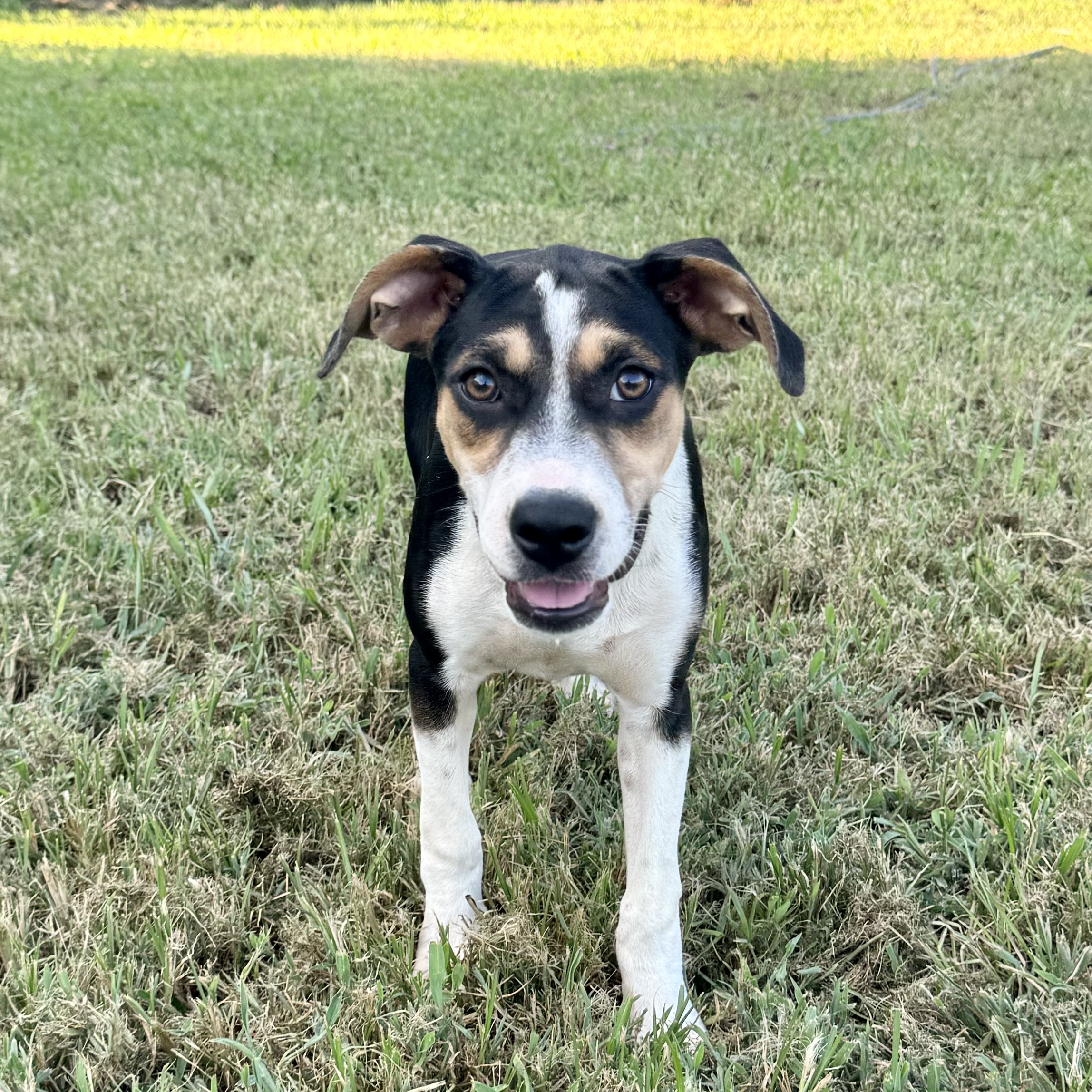 Blizzard thumbnail 5