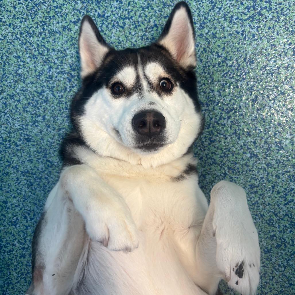 Sparks — thumbnail 2