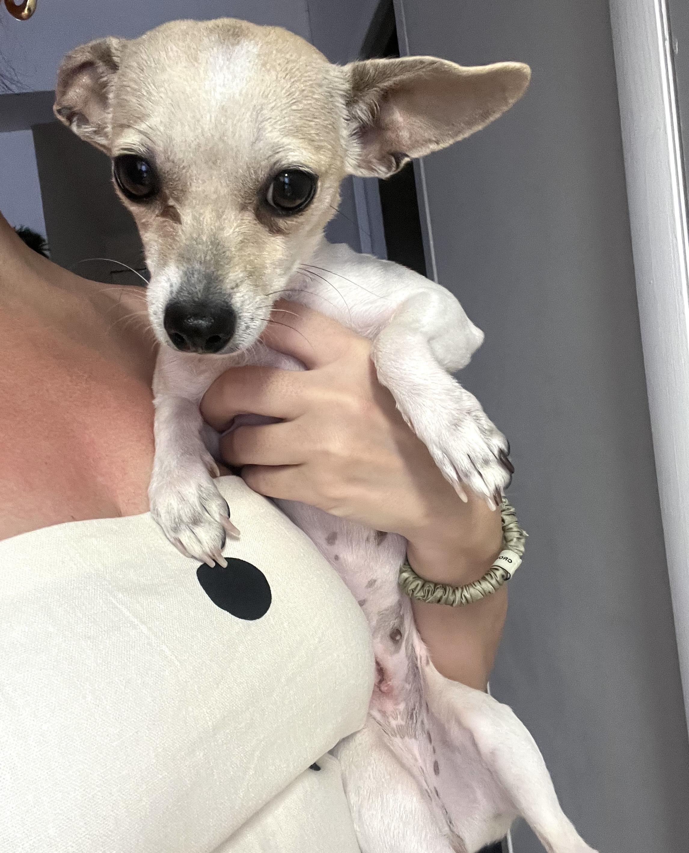 Cinnamon thumbnail 3