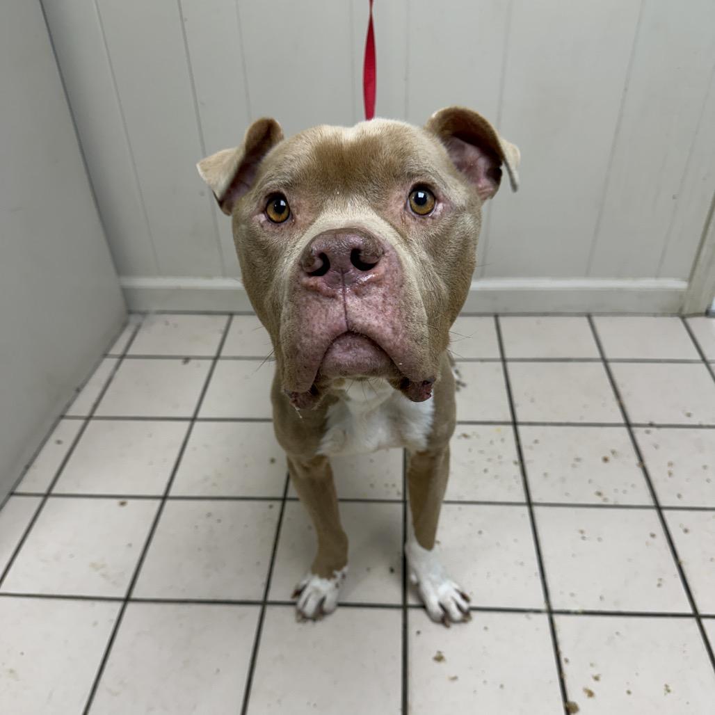 Jones — thumbnail 4