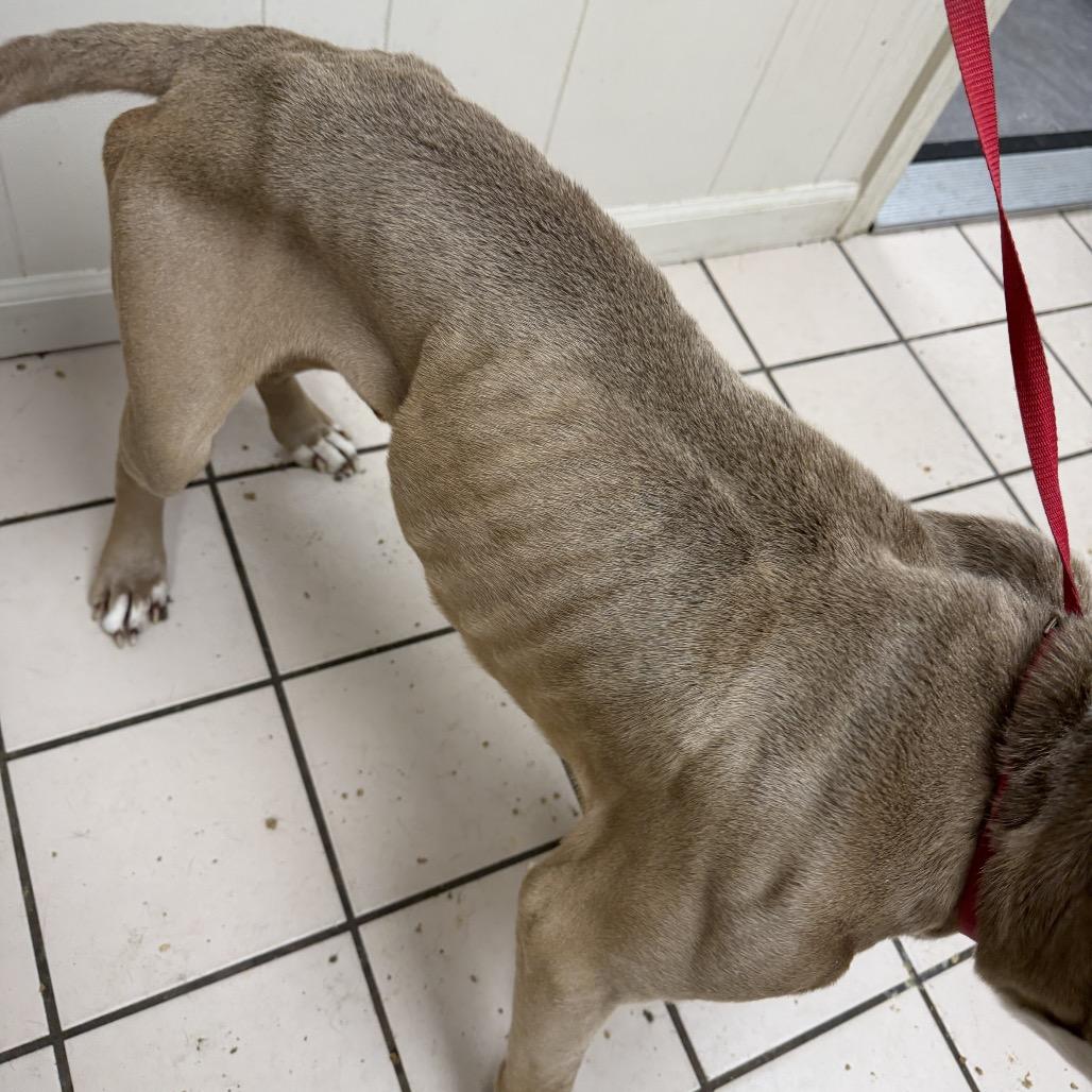 Jones — thumbnail 5