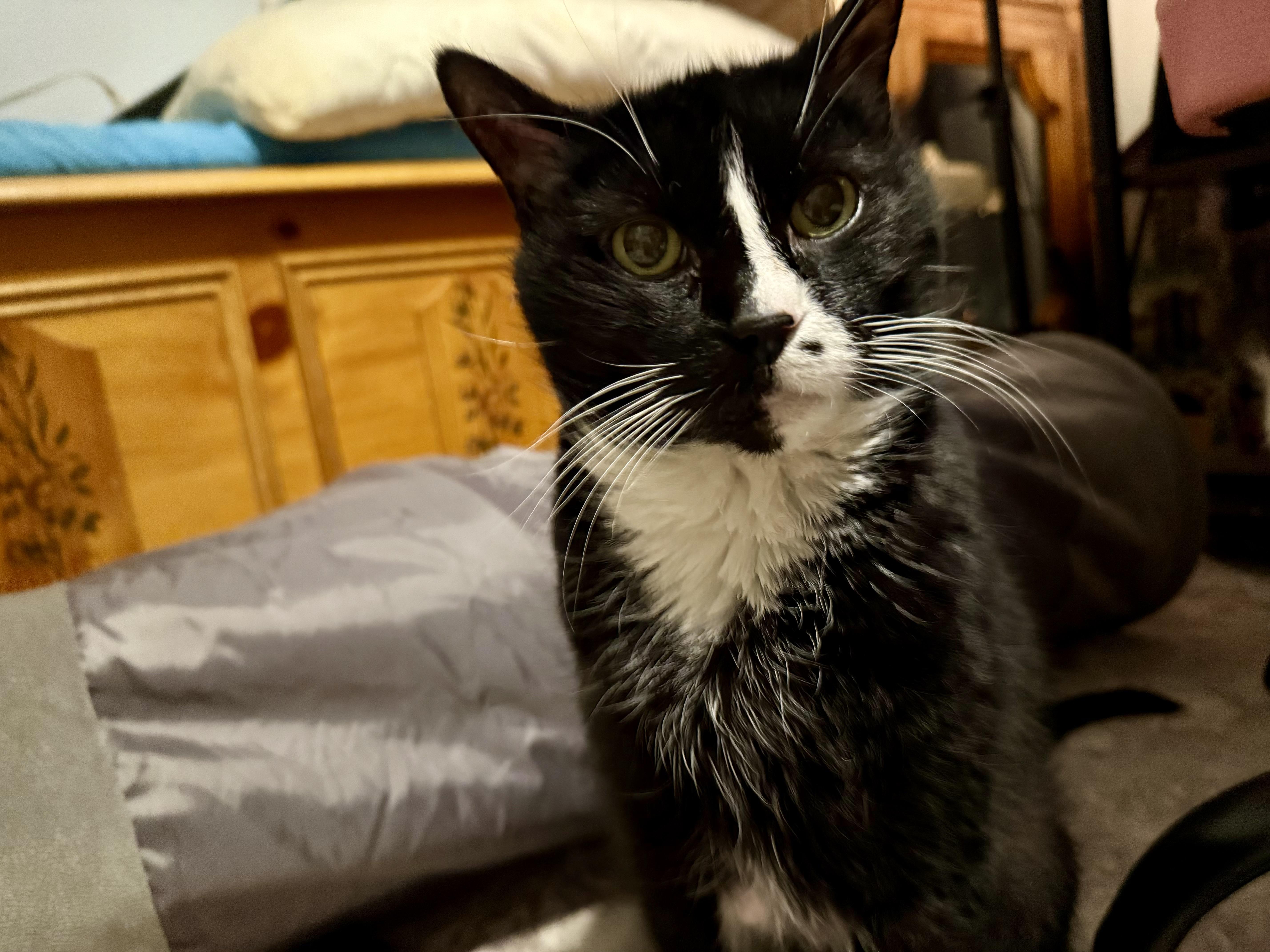 Zoey photo 2