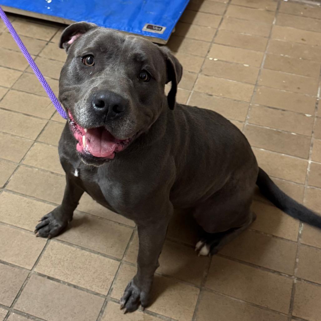 JuJu — thumbnail 3