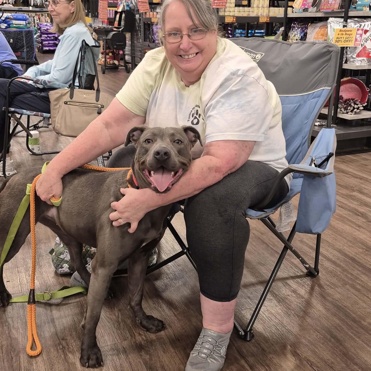 Sylvia - Foster or Adopt photo