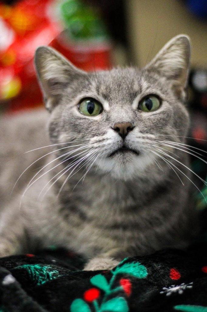 Jenna — thumbnail 2