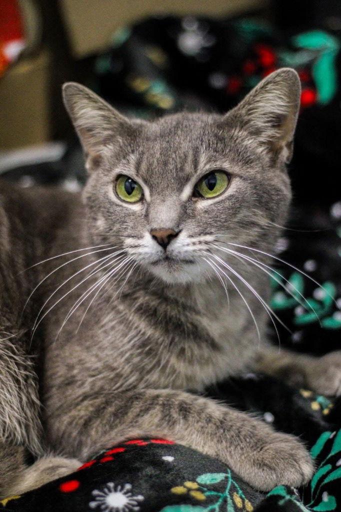 Jenna — thumbnail 3