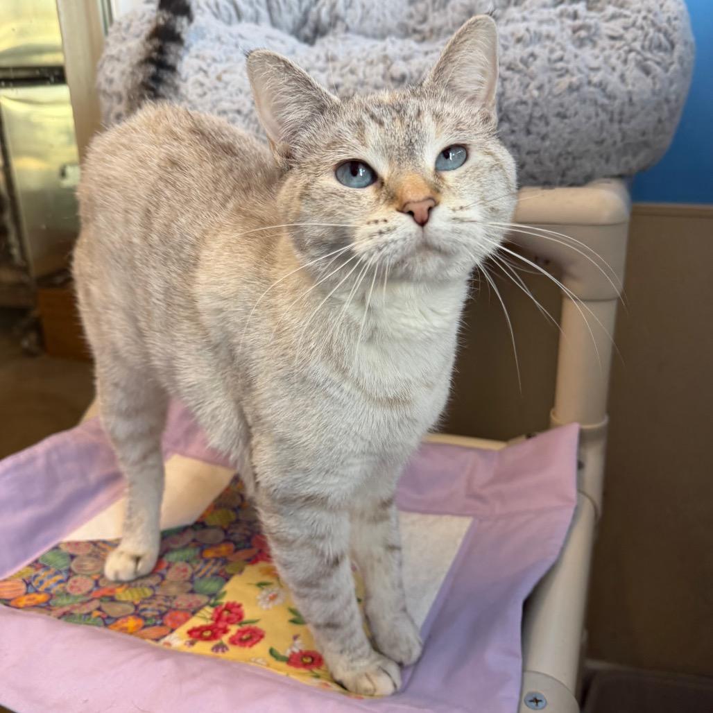 Cherry — thumbnail 3